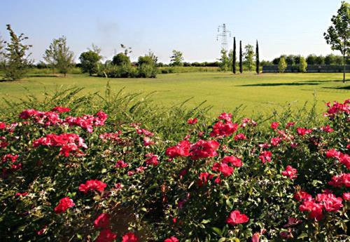 Country House Letizia เวโรนา ภายนอก รูปภาพ