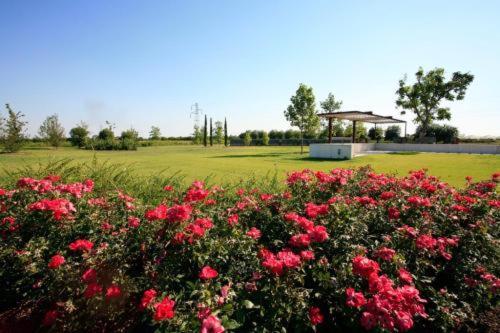 Country House Letizia เวโรนา ภายนอก รูปภาพ